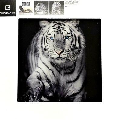 Eurographics Glasbild 30x30cm,Tiger Wasser Blaue Augen, DG-DC4168, NEU/OVP
