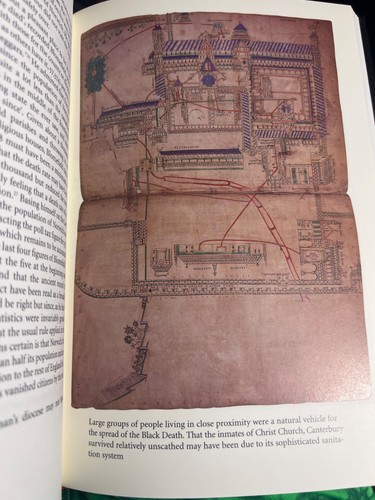 1999 Philip Ziegler The Black Death Medieval Village Flagellants Folio Society - Bild 9 von 13