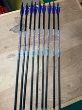 9 Black Eagle PS23 target arrows