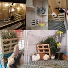 Foto 6 di 7