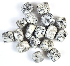 Dalmatian Jasper Tumbled Stones 1 lb Bulk Joy Positivity Grounding Healing