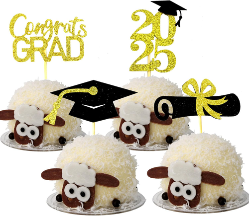 Graduation Cupcake Toppers 2025 Party Supplies, 24 PCS Food/Appetizer Picks for