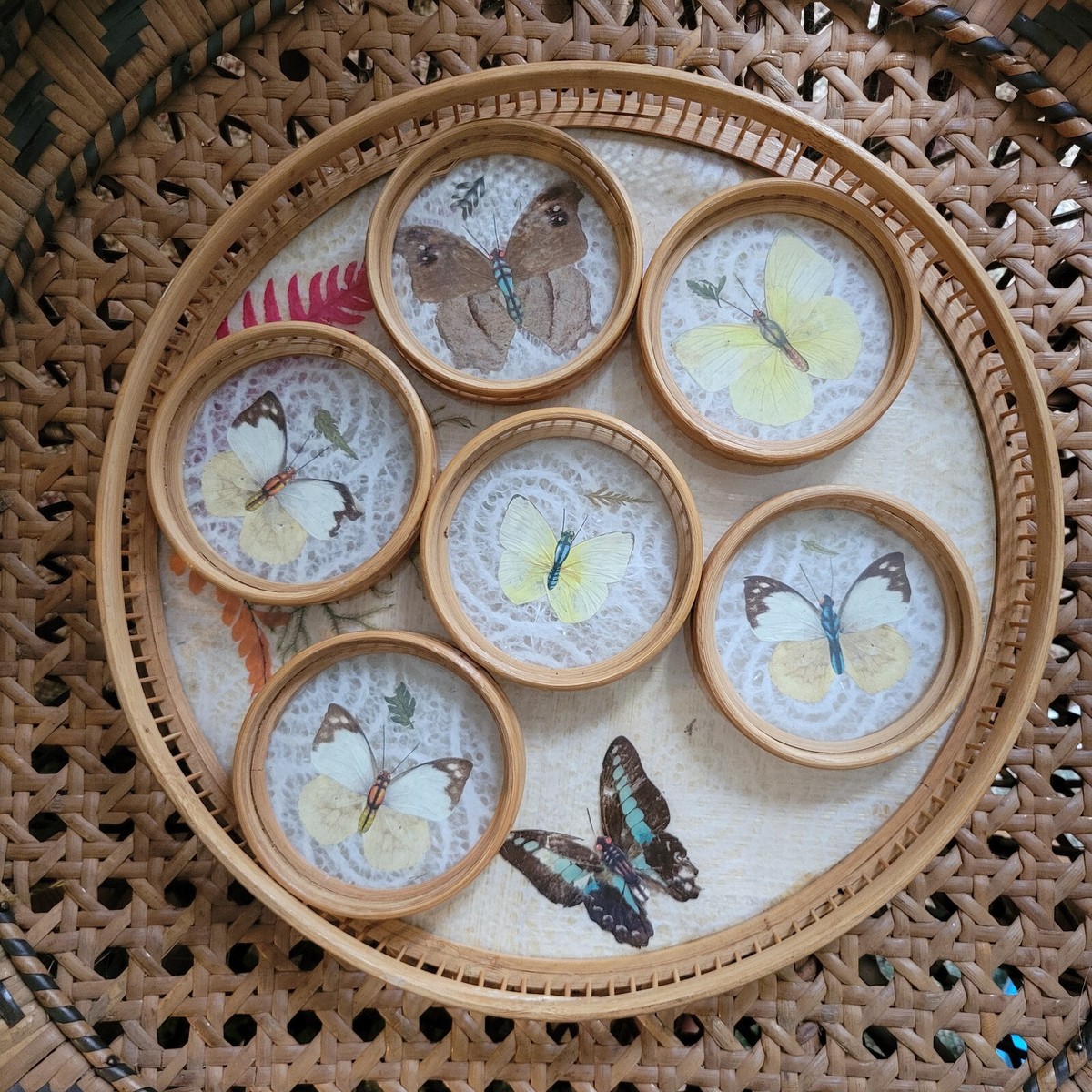 Vintage Mid Century Pressed Butterfly Botanical Tray And Coaster  display picture 1