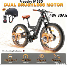 Freesky Warrior Pro 48V 30Ah Dual Motor Electric Bike 26