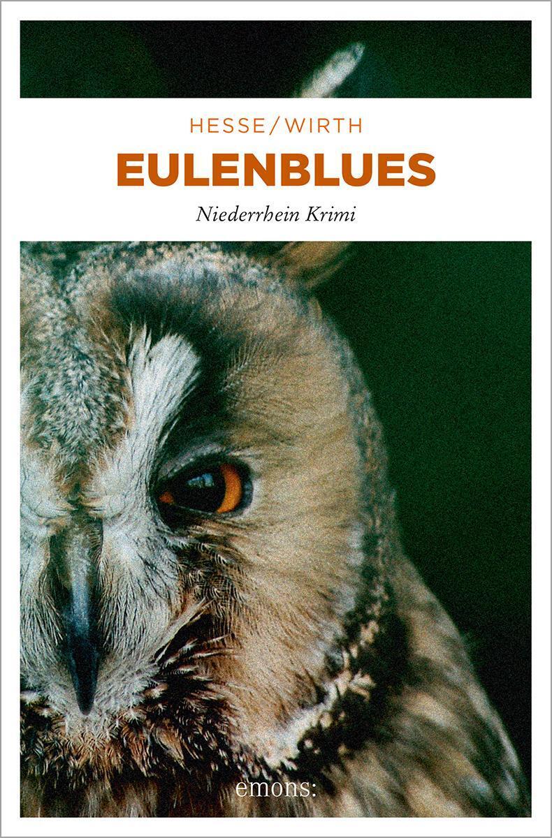 Thumbnail - Eulenblues | Thomas Hesse (u. A.) | Deutsch | Taschenbuch | Karin