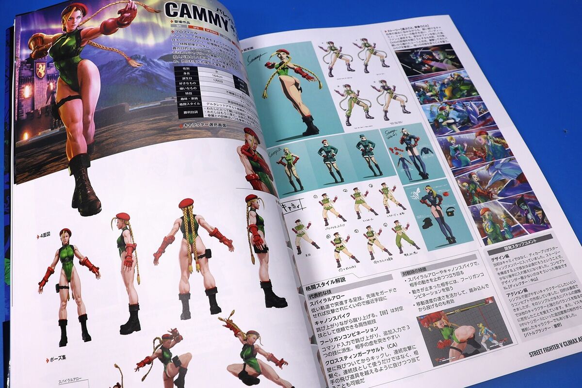 Street Fighter V 5 Climax Arts + Zero to 6 Art Book, Design Works Visual  Capcom