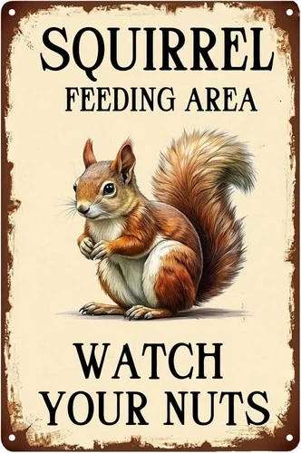Funny Metal Sign Vintage Squirrels Crossing Feeding Area Plaque Aluminum