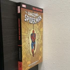 Marvel Amazing Spider-Man Epic Collection Vol 2 Great Responsibility TPB