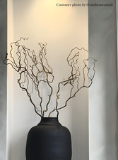 Tall Contorted Twisted Hazel Corylus Branches, Real Decorative Branches UKSELLER