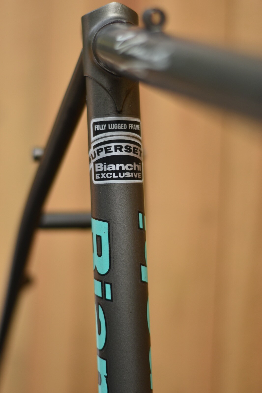 Bianchi San Remo 53cm Lugged Dedacciai CrMo, Campagnolo, Touring/Gravel