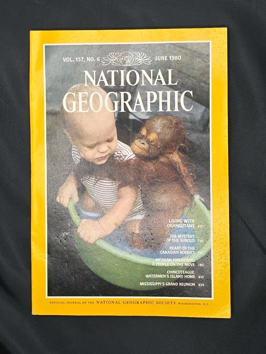 National Geographic Magazines for sale - eBay