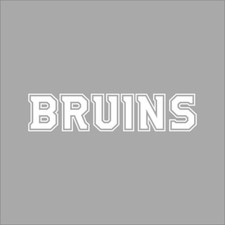 Boston Bruins 2 NHL Team Logo 1 Color Vinyl Decal Sticker Car Window Wall