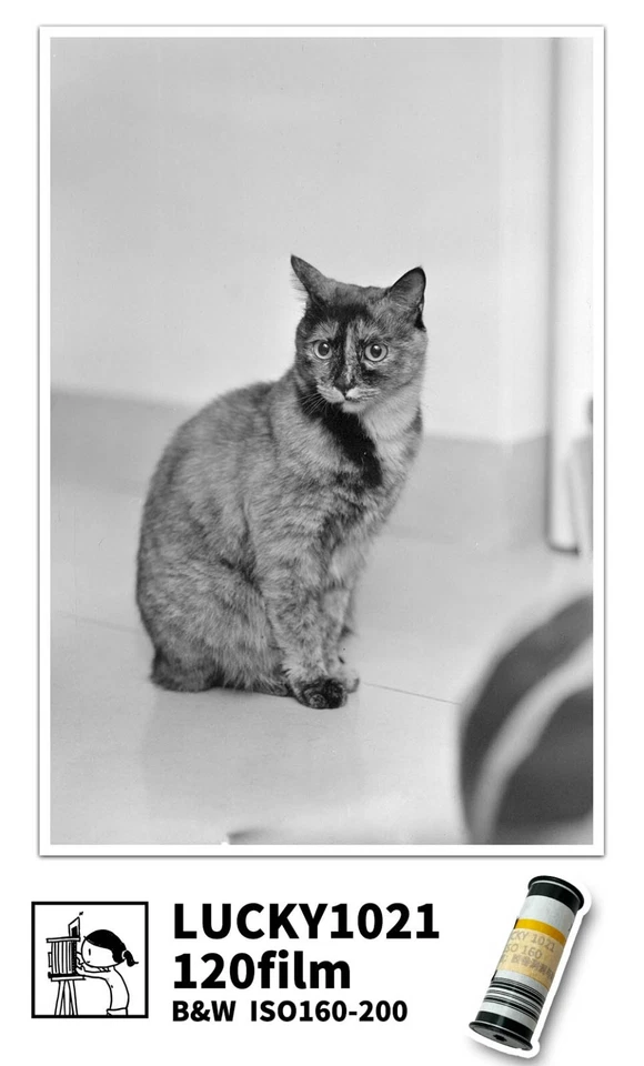 LUCKY1021 120 胶片黑白负片,ISO160(120 卷片) — 第 4/4 张图片
