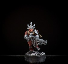 Pro Painted Necromunda Cawdor Champion