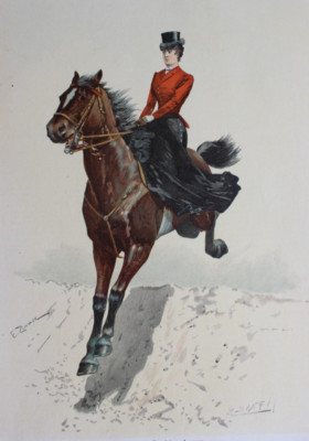 Antique Coloured Woodblock Print A Bold Amazon R. Bong After E. Zimmer 1880