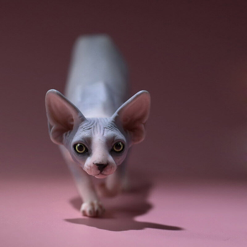 MR.Z 1/6th Canadian Hairless Cat 002 Sphynx Animal Model MR.Z 1/6th Canadian Hairless Cat 002 Sphynx Animal Model