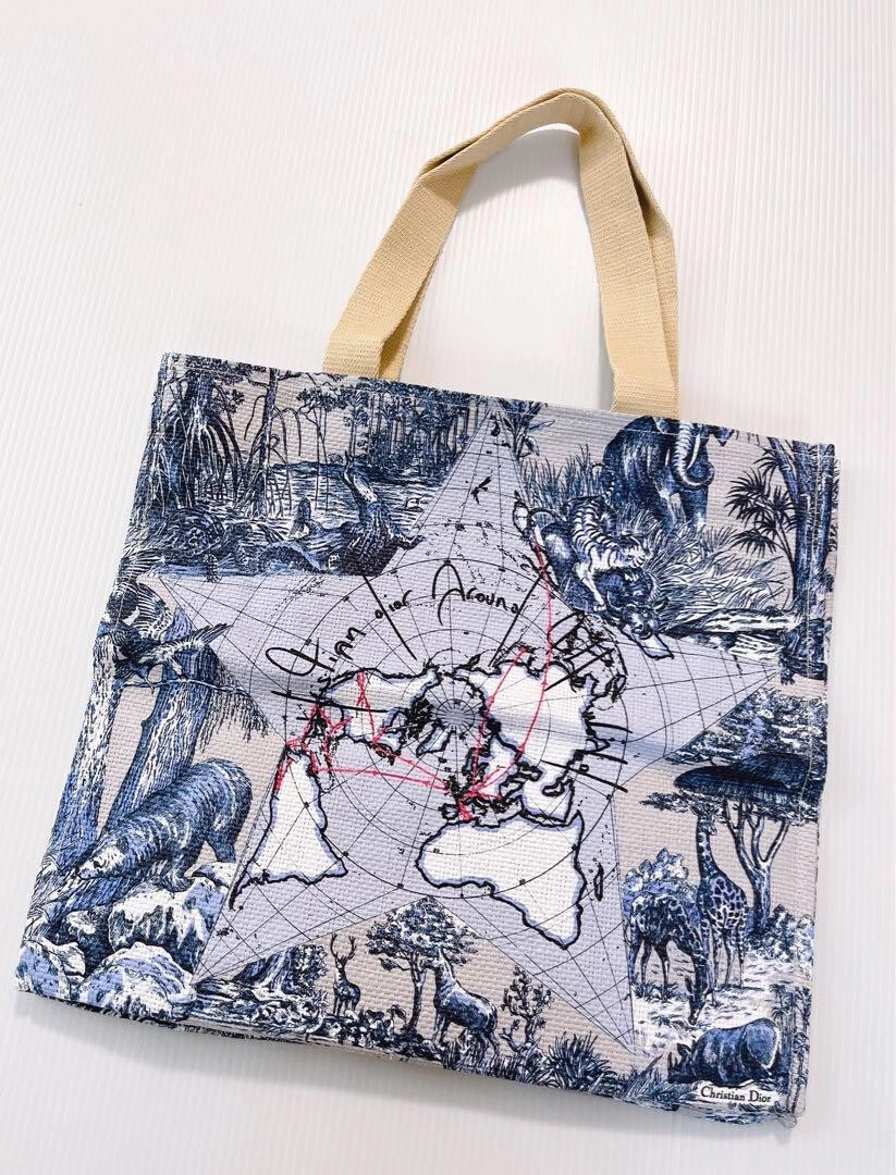 Sac fourre tout Christian Dior Platine membre cadeau d'anniversaire nouveauté 16,7 x 14,6 x 6 po
