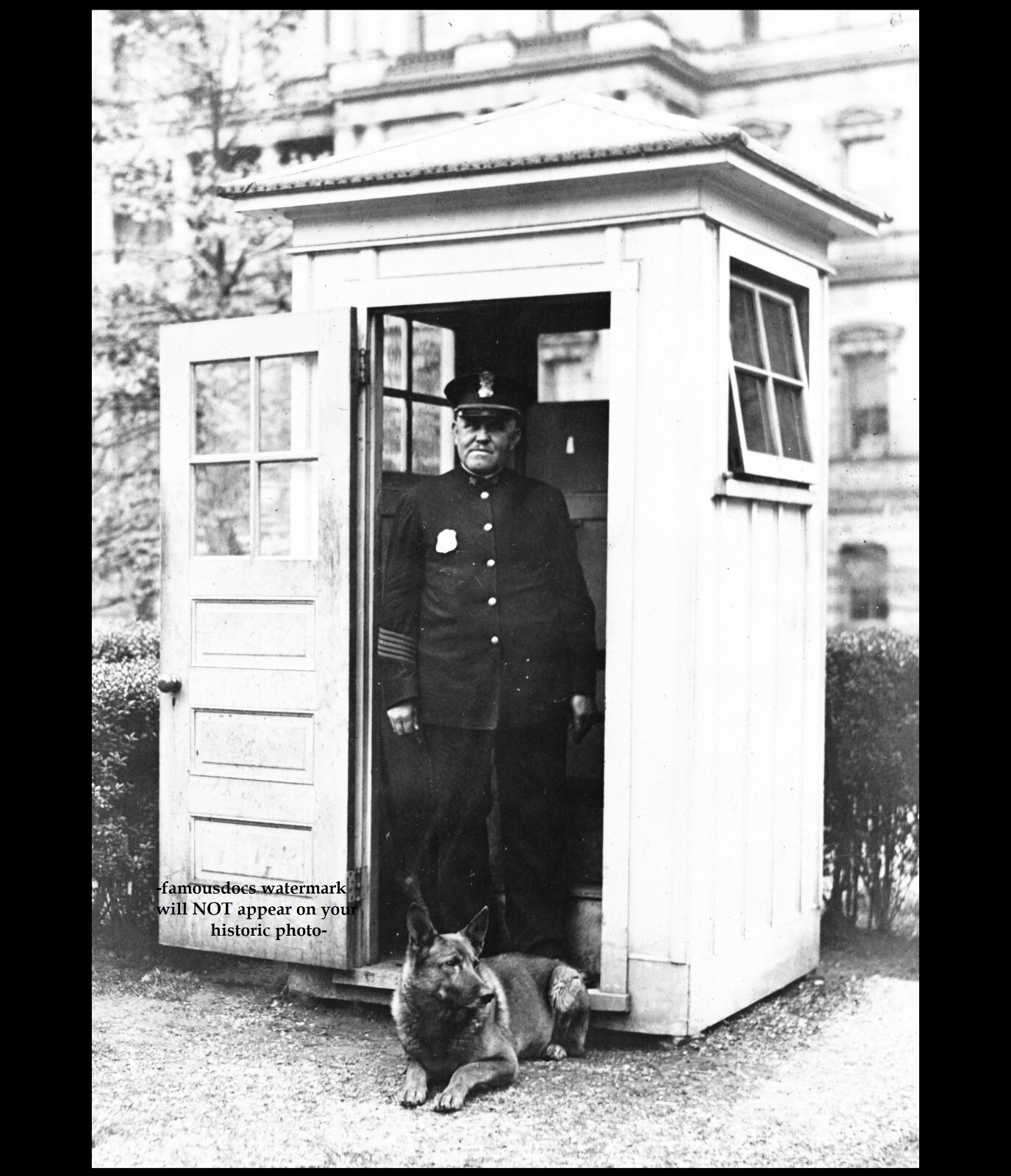 White House Guard Dog PHOTO President Herbert Hoover Belgian Police Dog