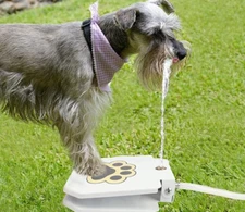 BringerPet Dog Interactive Water Fountain