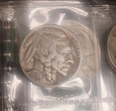 1931 Buffalo Nickel 5C Circulated Business Strike Uncertified Ungraded