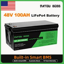 48V(51.2V) 100Ah Lithium LiFePO4 Battery Deep Cycles RV Sloar Golf Carts BMS
