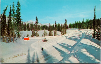 Highway #3 Kootenay Skyway btwn Salmo & Creston BC Winter UNUSED Postcard D84