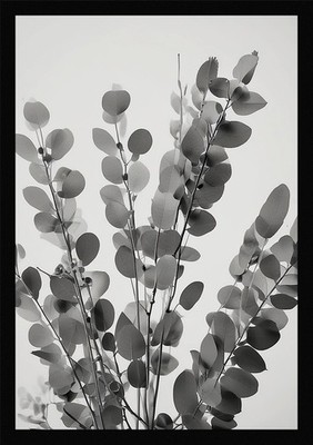 Moderne Eukalyptus Zweige gerahmtes Wandbild Poster Leinwanddruck Bild