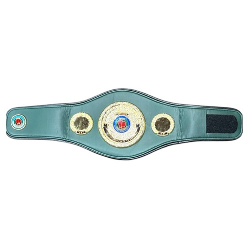 Kinder Mini Boxen Meisterschaft Gürtel, IBO, WBO, IBF, WBA, WBC, Replica Titel Gürtel - Bild 4 von 27