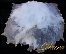 Banjo Snare Marching Dejembe Bodhran Frame Hand Drum 18" UNCUT NATURAL Skin Head