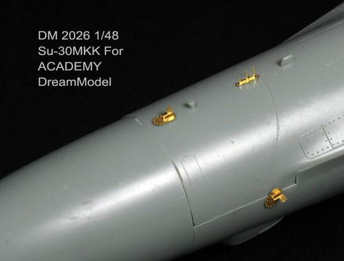Grabaciones de fotos de flanco Dream DE-2026 1/48 Su-30MKK para la Academia - Imagen 11 de 12