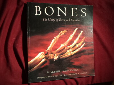 Alexander, R. McNeill. Bones. The Unity of Form and Function.  1994. Illustrated