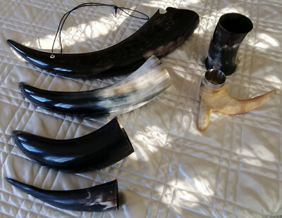 Trink Horn Set 6 stk Trinkhörner verschieden Mittelalter Larp Germanen bis 500ml