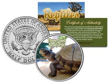 THREE-TOED BOX TURTLE * Collectible Reptiles ...