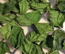 Natural MULBERRY Dried Leaves Leaf Shrimp Snail Food Tannins Aquarium Fish Tanks