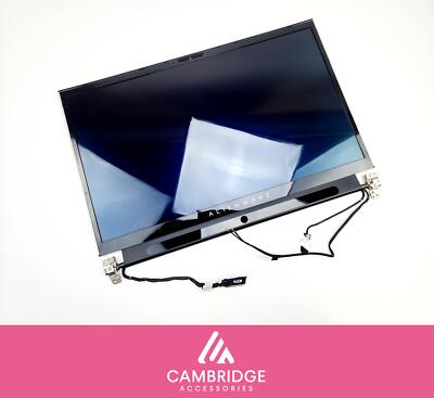 Dell Alienware M15 R2 15,6'' LCD Full Screen 1920x1080 OLED Assembly Grade C