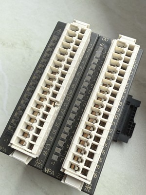 Vipa 222-1BH10, 221-1BH10 Digital E/A Module