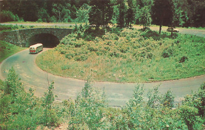 Postcard The Loop-Over Highway Near Gatlinburg Tennessee Great Smoky Mountain