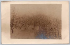 Postcard Winter Scene Snow Covered Trees Etna NH RPPC C346