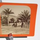 NICE FRANCE QUAI DES PALMIERS (PALM TREE QUAY) VIEW OF RIVERBED STEREOVIEW — photo 2