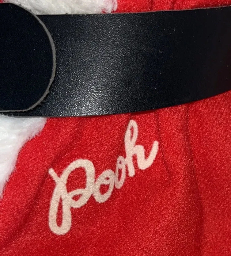 De colección Navidad Walt Disney Sears Winnie The Pooh Oso Peluche Papá Noel Sombrero Foto 4 de 4