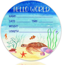 Baby Announcement Sign with Name  Stats - Hello World Newborn Hospital Keepsake