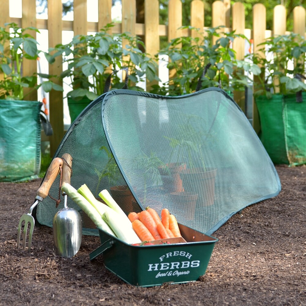 1.25m L x 0.5m H Allotment Plant Protector Garden Net Mesh Tunnel Cloche Mini