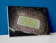 SMU Football Stadium Poster or Canvas - SMU Mustangs Football Field Wall Art