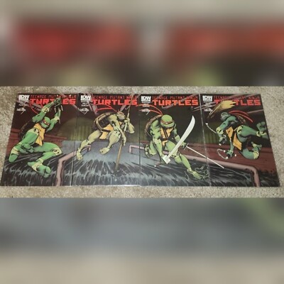 4 IDW TMNT Teenage Mutant Ninja Turtles 1 NM MX 1st App Dan Duncan Variant 2011