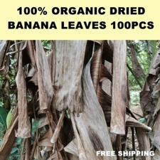 100% Organic Dried *Banana Leaves *Pet Supplies Fish Aquarium ShrimpClean 100PCS