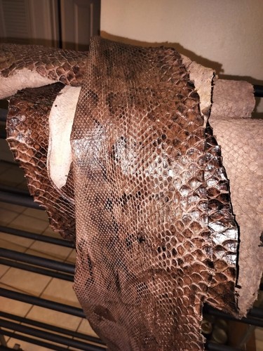 13-ft Authentic Dark Brown Python Skin Hide