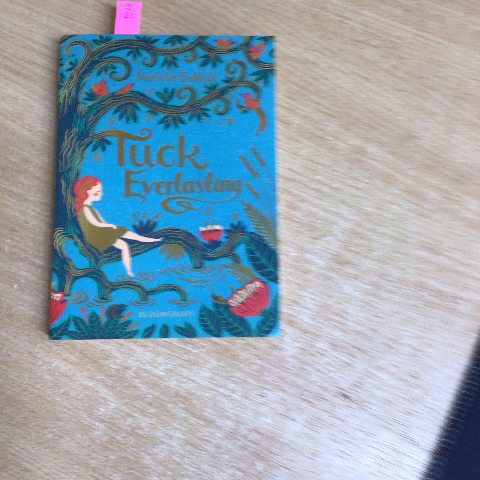 Tuck Everlasting - 9781526615251
