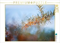 Calvendo Puzzle Sea Buckthorn | 1000 Pieces, Finished Size 25.2 × 18.9 In (64 ×