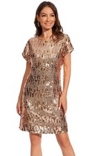 FEMI SEMI Women's Crewneck Sequin Shift Dress Short Sleeve Casual Holiday