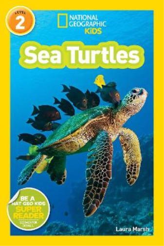 Laura Marsh National Geographic Kids Readers: Sea Turtles (Tascabile)